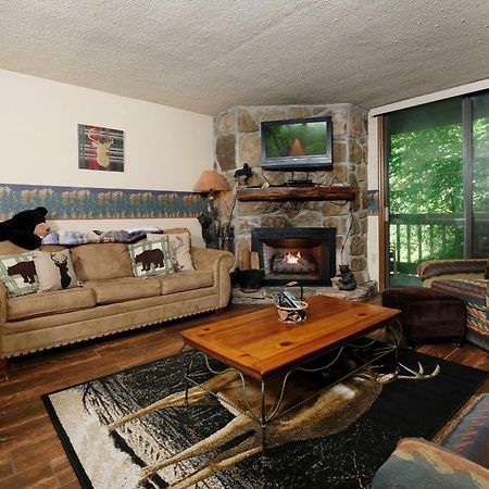 Bear Creek 167 Villa Gatlinburg Exterior photo